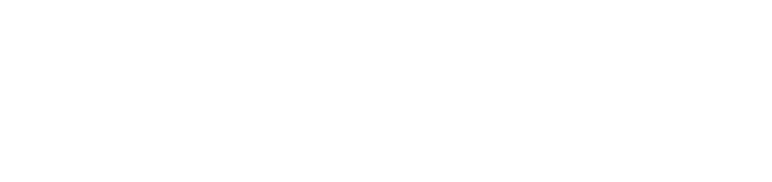 Saro Groups